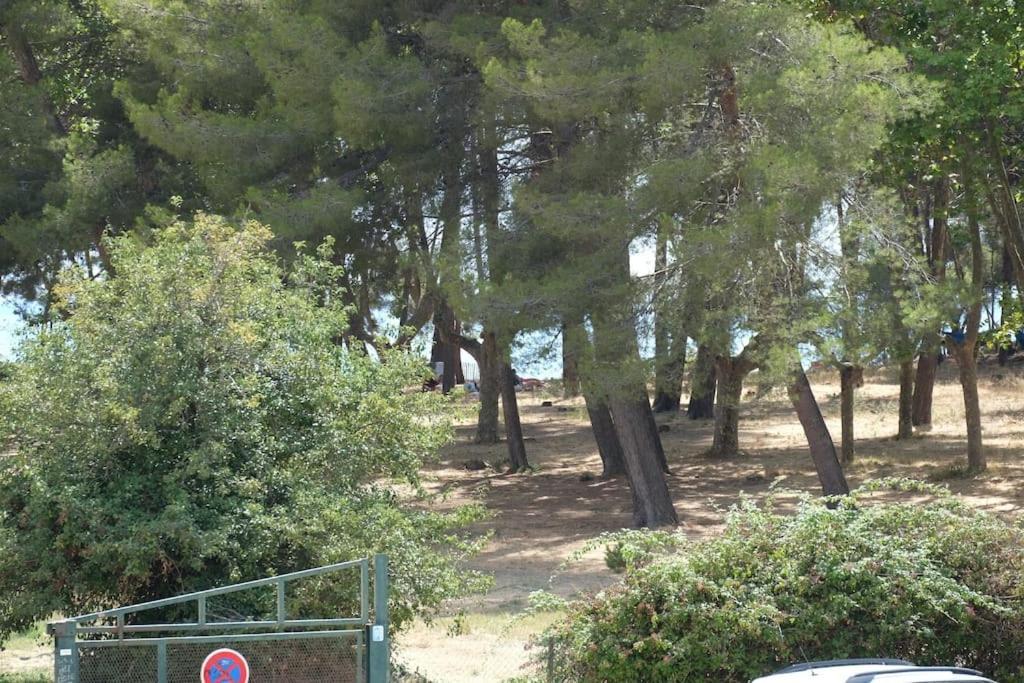Petit Paradis Classe 3 Etoiles A 200M De La Plage! Terrasse-Wifi-Parking-Clim Saint-Mandrier-sur-Mer Extérieur photo