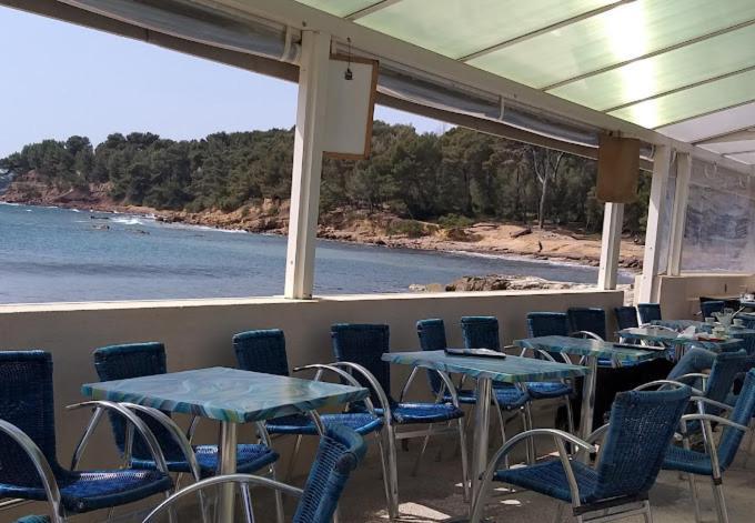 Petit Paradis Classe 3 Etoiles A 200M De La Plage! Terrasse-Wifi-Parking-Clim Saint-Mandrier-sur-Mer Extérieur photo